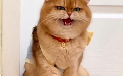 搡BBB搡BBBB搡BBBB